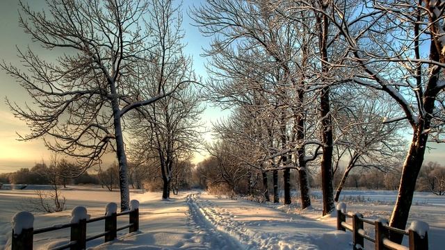 Звуки зимы смотреть онлайн