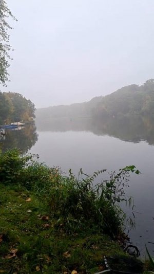 Дождливое утро на озере 🎣