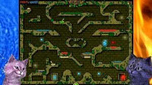 ОГОНЬ и ВОДА приключения в ЛЕСНОМ ХРАМЕ КОШКА ЛАНА и КОТ ЛЕО играет