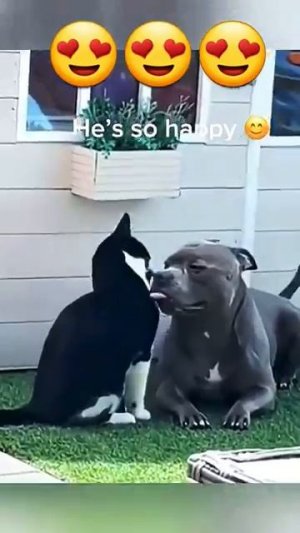 Просто посмотрите