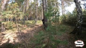 ТИХАЯ ОХОТА / 91 серия (18+)