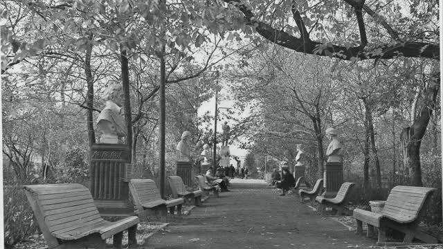 Саратов - мой город