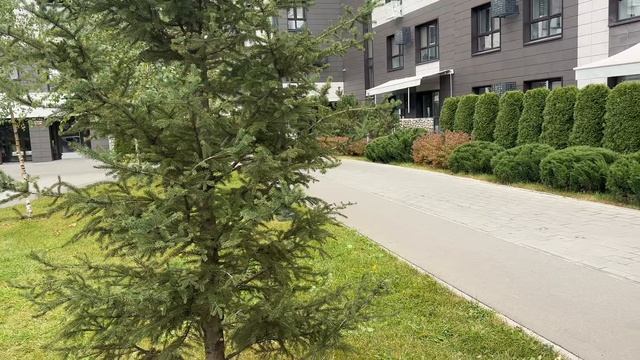 114872 смотреть онлайн