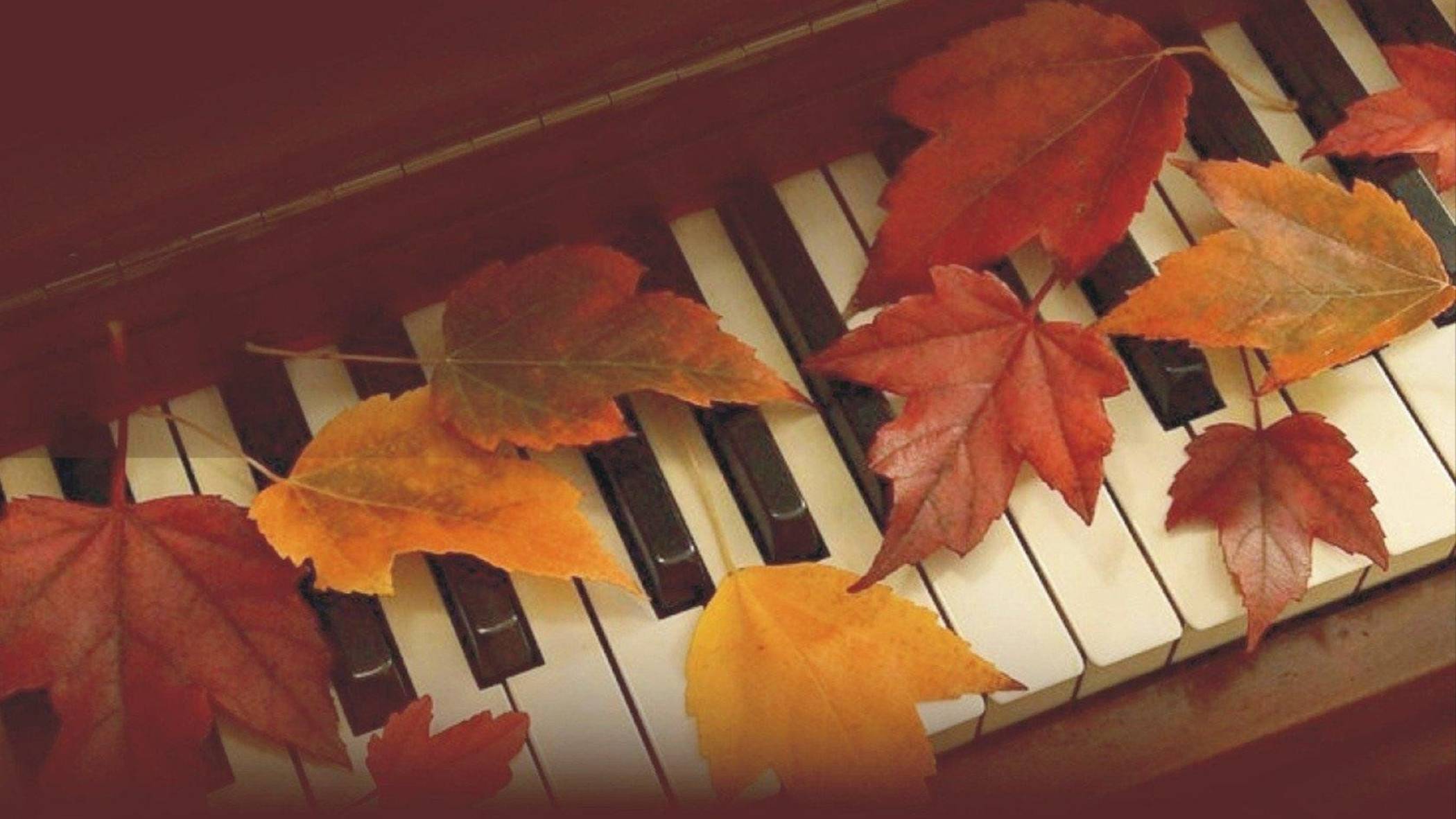 Осень — это чарующий сезон, когда природа наряжается в сочные и теплые цвета! Осень смотреть онлайн