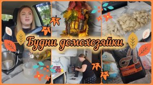 ВЛОГ🍂ИДЕАЛЬНОЕ ТЕСТО ДЛЯ ПЕЛЬМЕНЕЙ И ВАРЕНИКОВ🥟ПОДЕЛКА В САДИК🍁ПОКУПОЧКА🛍