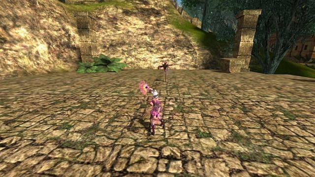 Облик Воина Мунэльфа – Флэр (дальний бой)