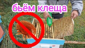Октябрь на пасеке! Обработка пчёл от клеща! Пчеловодство!