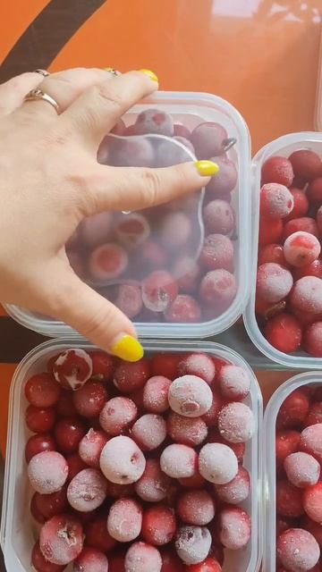 Наборы для хранения продуктов в холодильнике и морозильной камере