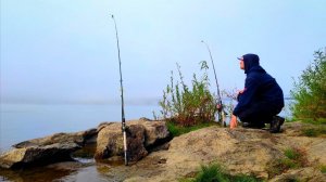 УПЛЫЛ НА ОДИНОКИЙ ОСТРОВ ОДИН! Закинул донки на ЖИВЦА и СУДАК вышел! Рыбалка 2025