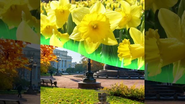 группа Сентябрь альбом смотреть онлайн