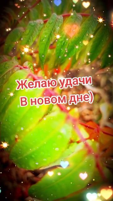 Пожелания на день)