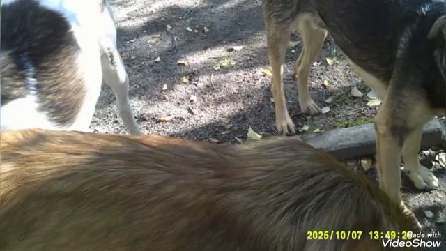 Мариуполь ⛵ сегодня 🏗️🏗️🏢 Приморский район 🏢 смотреть онлайн