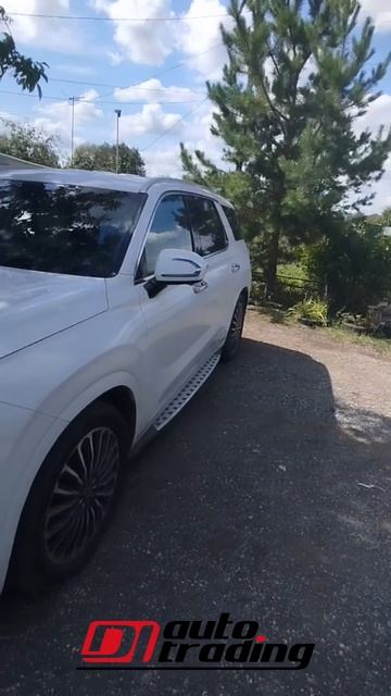 Отзыв от нашего клиента, Huyndai Palisade | DI AUTO TRADING - Авто из Кореи смотреть онлайн