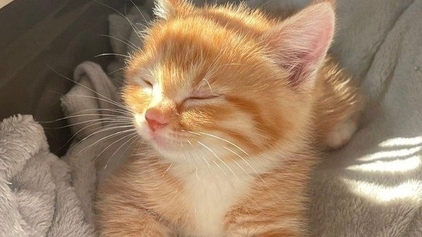 08-10-2025 смотреть онлайн