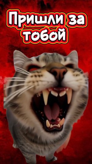 Они пришли за нами 🙀 #кот #кошка #животные #скибидитуалет #спрунки #оииакот #оииа