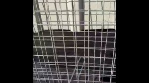 Как заделать щели под забором из профнастила