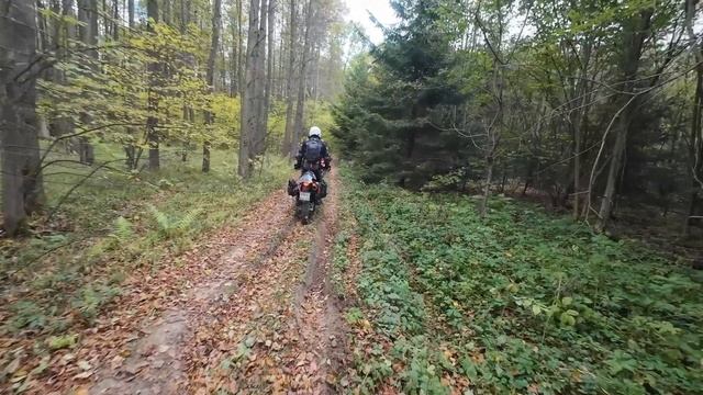 1007(1) смотреть онлайн