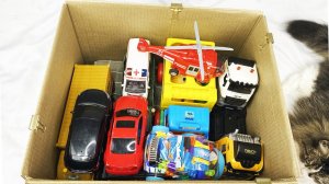 Мультики для детей. Новый Джип в коробке. Яркие мультики про машинки с котиком в коробке для малышей