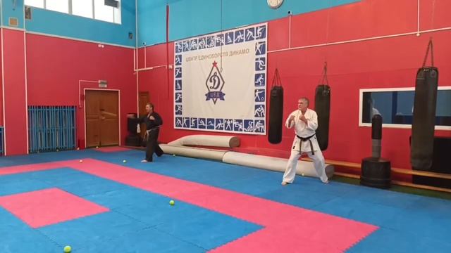 Семинар Шипицына А. каратэ [ЦЕД]