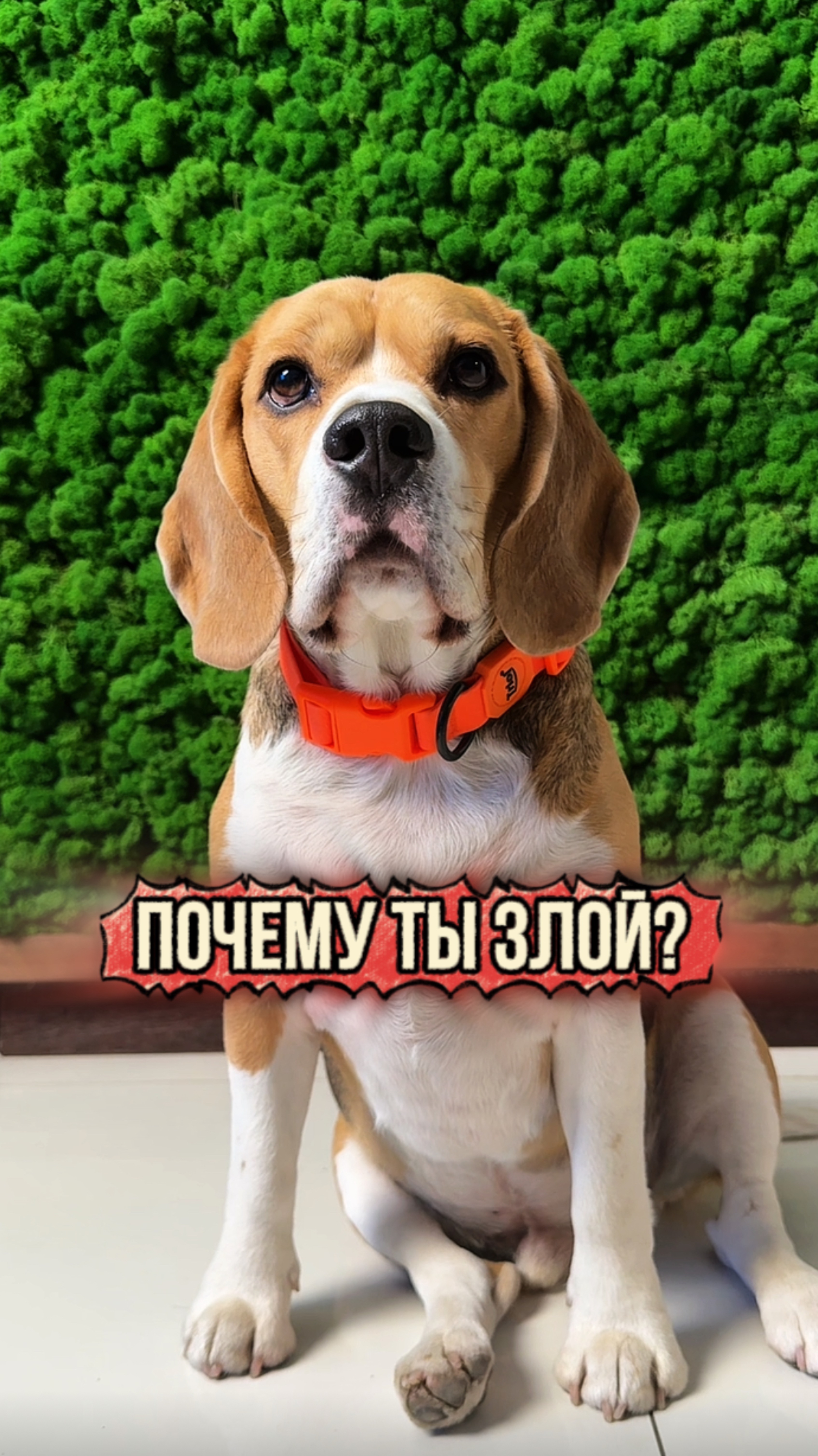 Вот такой кавер 😅 смотреть онлайн