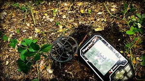 Skycruiser. Лесной коп.