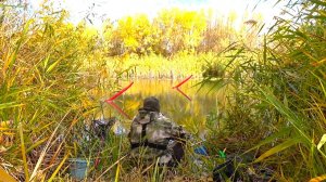 РЫБАЛКА НА ПОПЛАВОК НА ВЕЧЕРНЕЙ ЗОРЬКЕ!! Красиво и тихо в осеннем лесу