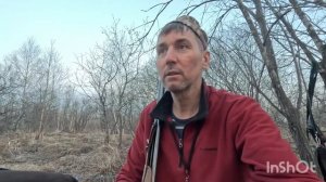 Перезалив.  Охота с курцхааром.