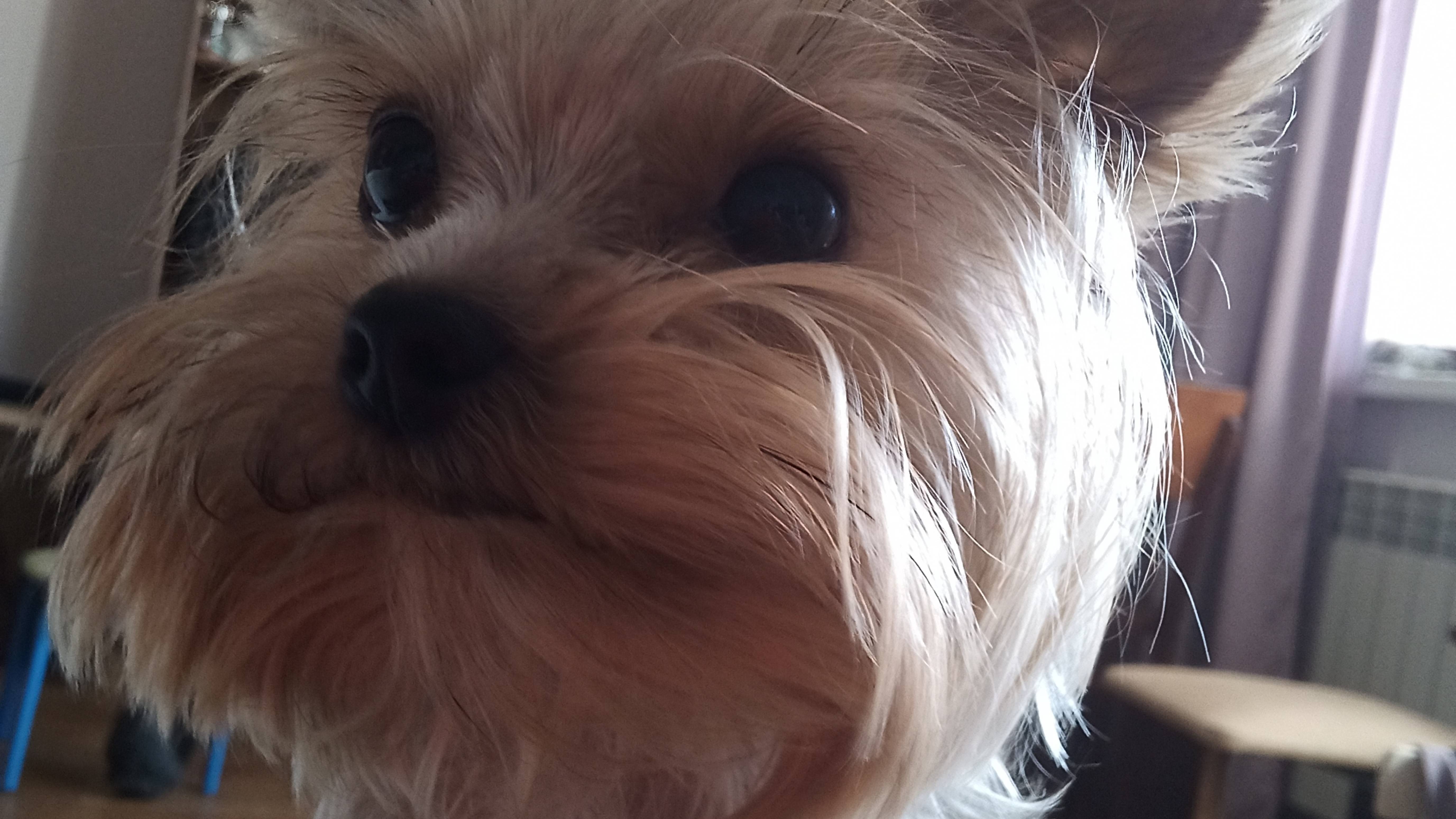 Кики защитница