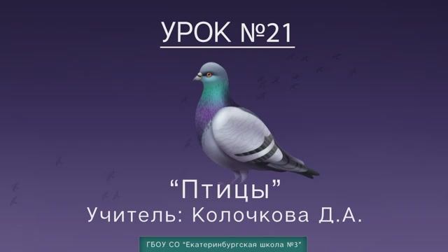 Урок №21. Птицы смотреть онлайн