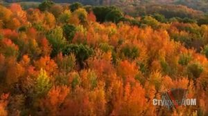 Михаил ГУЛЬКО-Если я заболею...1080рHD