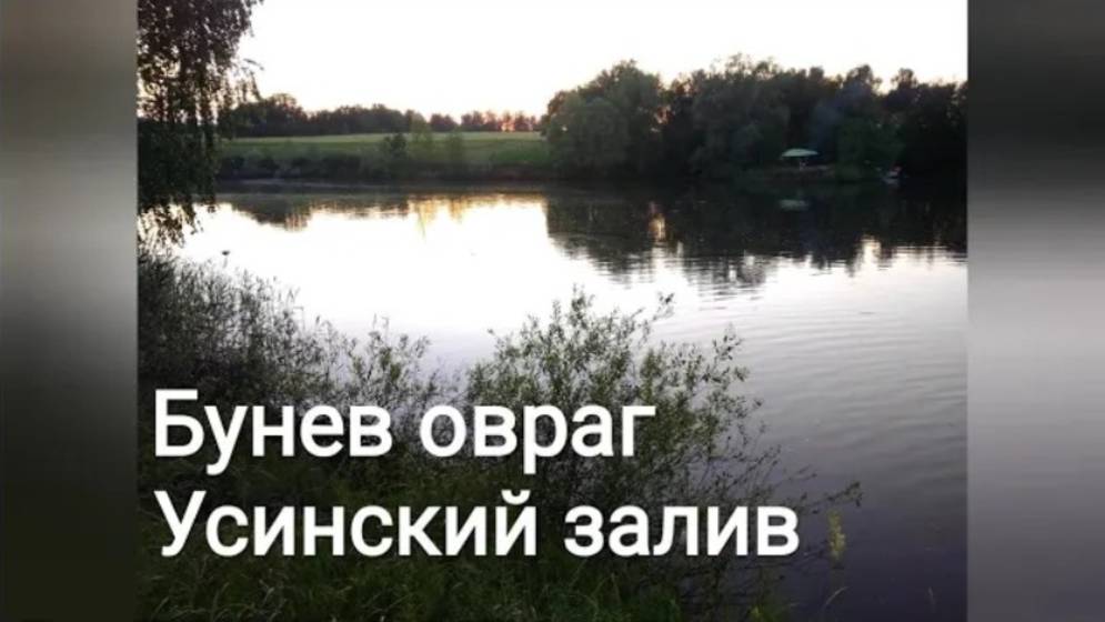 Бунев овраг, Усинский залив (окрестности Тольятти) | Фото (20.06.2020)