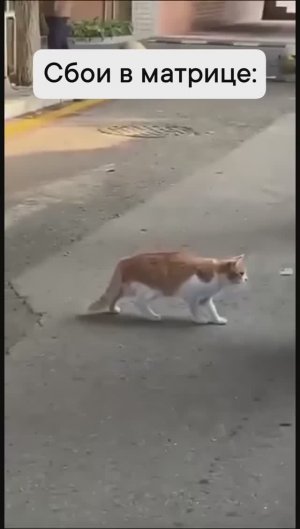 Завис в одном положении 😄