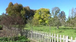 Заповедник Михайловское.8 октября 2025 года.