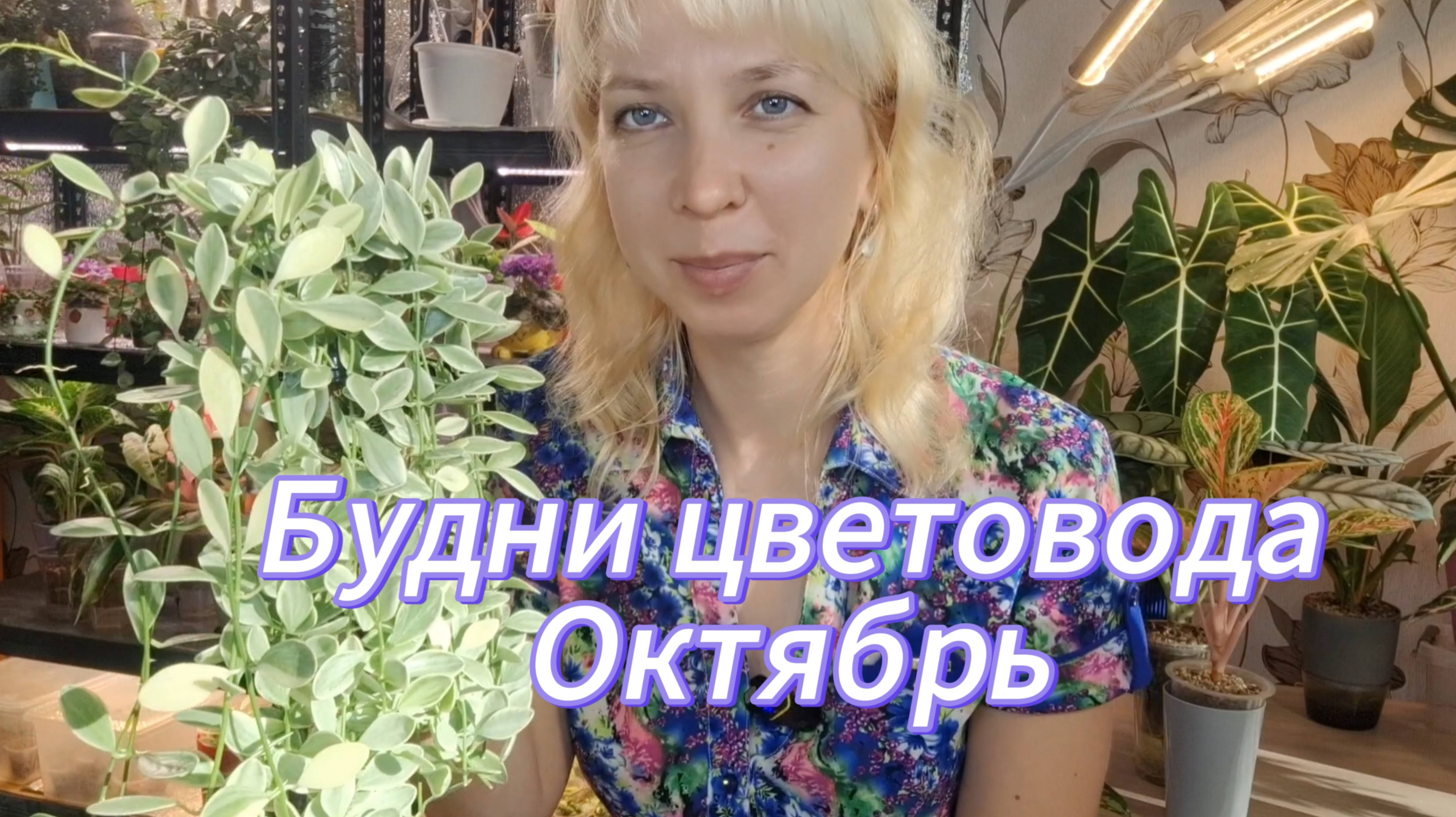 Будни цветовода. ОКТЯБРЬ смотреть онлайн