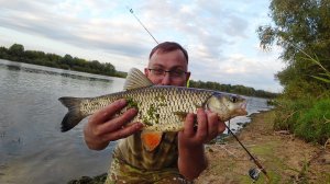 Поход с ночевкой. Рыбалка на Оке. Что поймаю, то и ем!