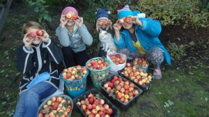 Посади яблоневый сад! Часть 1