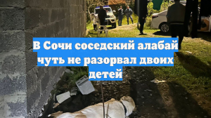 В Сочи соседский алабай чуть не разорвал двоих детей