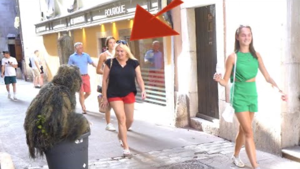 SHE ASKED BUSHMAN TO SCARE HER MUM. HER REACTION WAS SO FUNNY смотреть онлайн