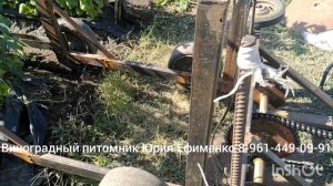 скоба для саженцев винограда