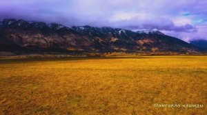 #Коран#АльАнам#СамыеКрасивыеМеста#Relaxation##Islam#Quran#AlAnam#Minshawiy #4кВидео#23часть#