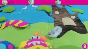 ХОМЯЧКИ ИЩУТ ТРоЛЛЕЙ Кто ПОБЕДИТ? НОВЫЙ ЧЕЛЛЕНДЖ ДЛЯ ХОМЯЧКОВ