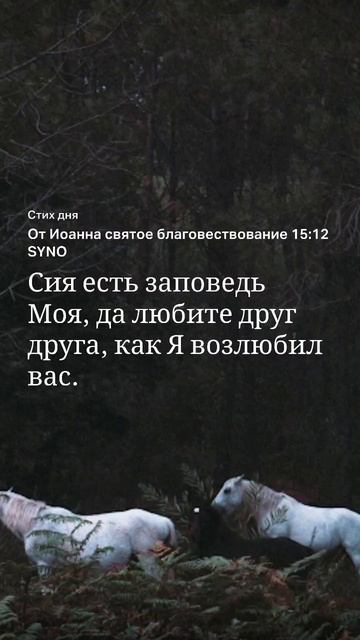 #Слово на 8.10 #библия смотреть онлайн