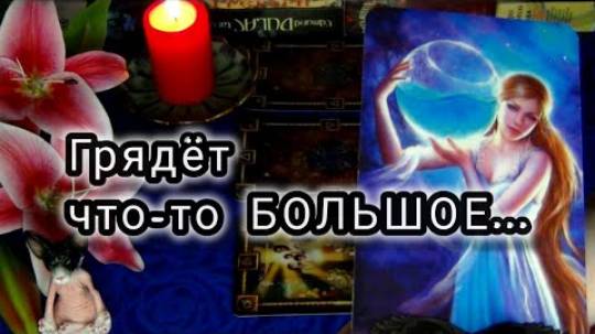 Это не остановить❗грядёт что-то большое❗🍀🍁 гадание таро смотреть онлайн
