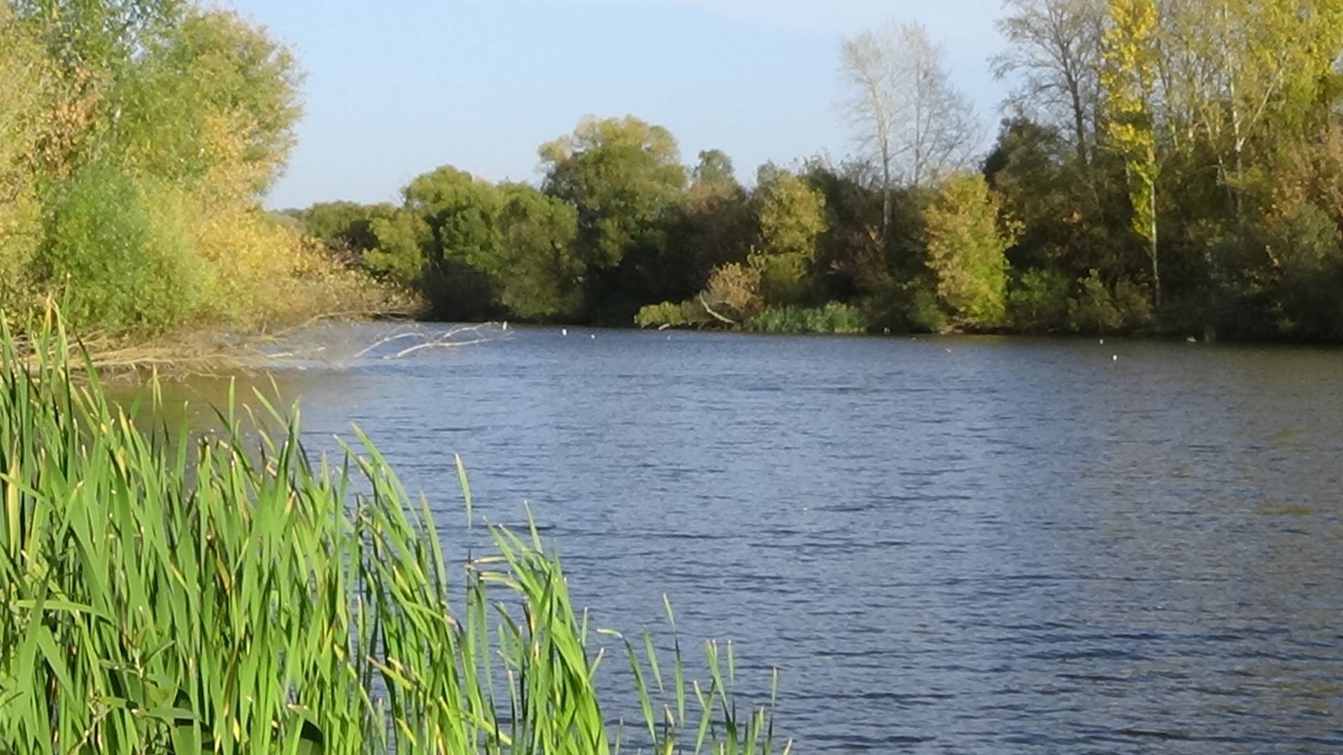 Плющины сельские территории России смотреть онлайн