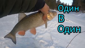 РЫБАЛКА НА КОСЫНКИ. ПЕРВЫЙ ТРОФЕЙ. С ОТЦОМ НА РЕКЕ.