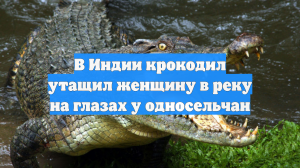В Индии крокодил утащил женщину в реку на глазах у односельчан