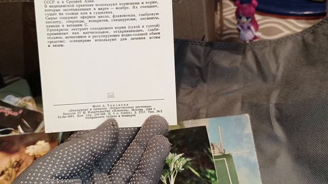 📢🤓Финал🏆🥉🧐📢 смотреть онлайн