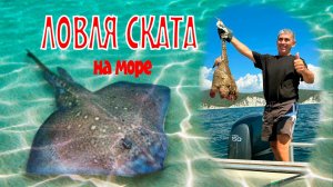 Рыбак поймал большого ската. Рыбалка на крупную рыбу в Чёрном море.