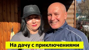 На дачу с приключениями. Откуда в доме вонь? Осенние работы в саду