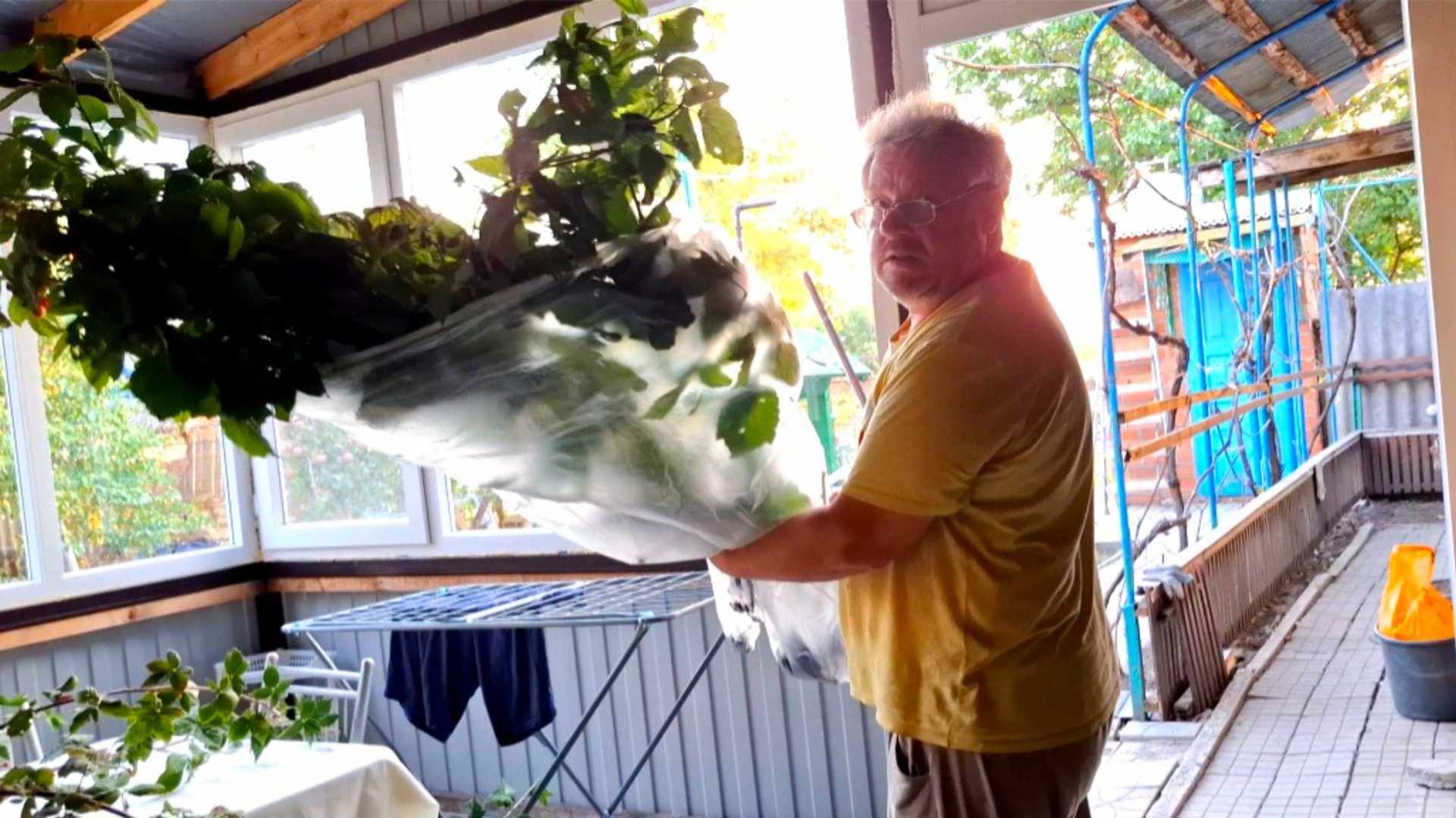 806 Переехали жить из города в станицу на юге. Думали уже Всё.Ошиблись. смотреть онлайн